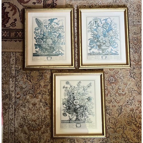 Vtg SEPTEMBER from Twelve Months of Flowers by Robert Furber (C.1674-1756)CANADA - Picture 15 of 15